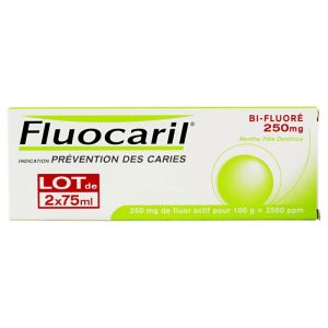 Fluoc Bi-fluor 250mg Pâte Dtf Ment 2t/75ml