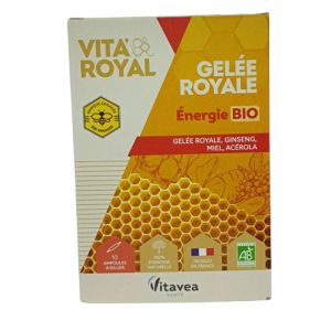 Vitavea Santé Gelée Royale Energie