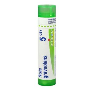 Ruta Graveolens 5CH Tube Granules 4g