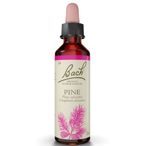 Pine Elixir Floral 20ml