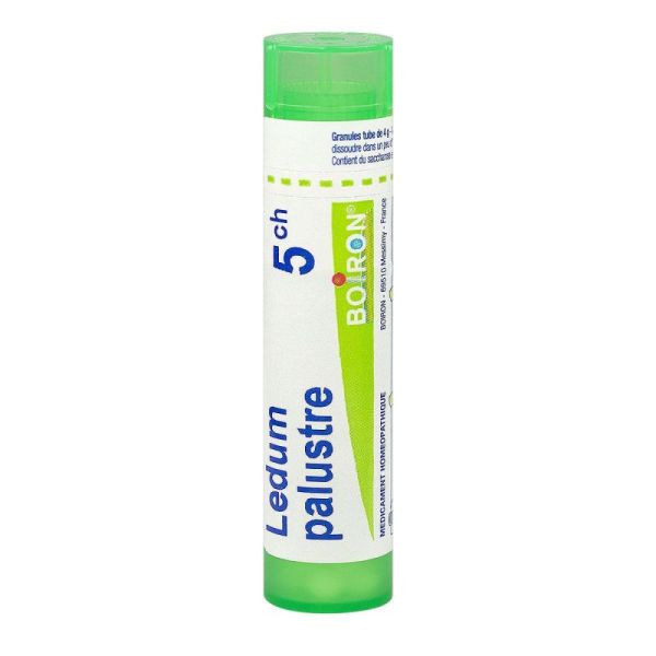 Ledum Palustre 5CH Tube Granules 4g